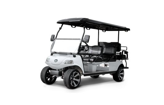 Carrier 6 - Carritos de Golf Electromotion