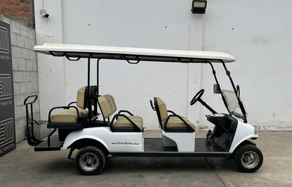 Carrito de Golf Carrier 6 Semi Nuevo