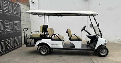 Carrito de Golf Carrier 6 Semi Nuevo